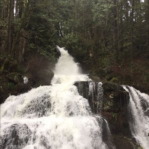 Meet your Posher, Juliana